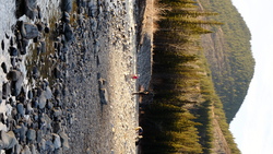 DSCF1585.JPG
