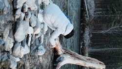 DSCF1593.JPG