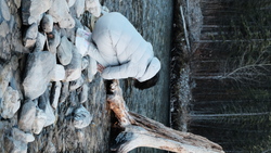 DSCF1594.JPG