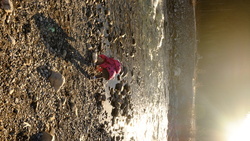DSCF1603.JPG