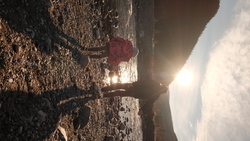 DSCF1606.JPG