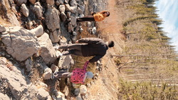 DSCF1609.JPG
