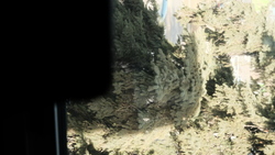DSCF1690.JPG