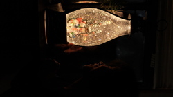 DSCF1705.JPG